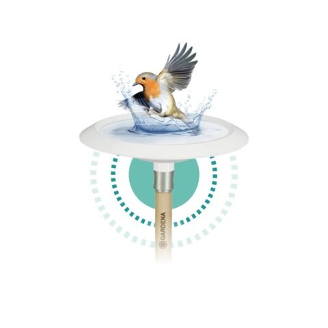 ClickUp! Vogelbad