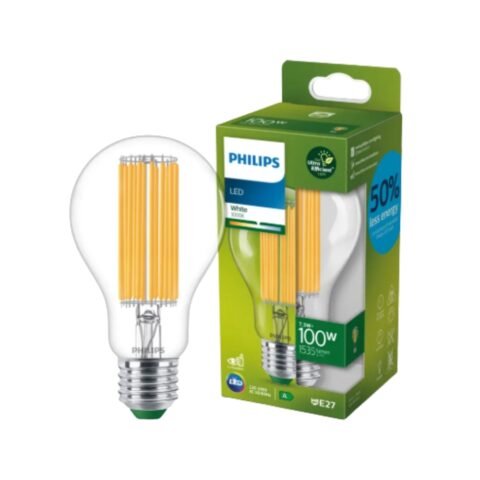 LED Filament Lamp 100W E27